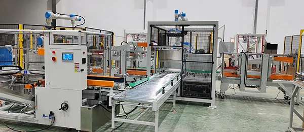 Robotic Picking & Packing Machine for Brazilian Household Products Manufacturer