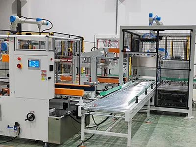 Robotic Picking & Packing Packaging Machine