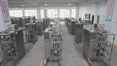 Vertical fill seal machine workshop