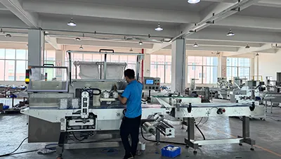 Horizontal pillow-pack machine workshop