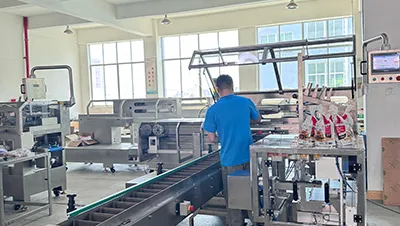 Horizontal pillow-pack machine workshop