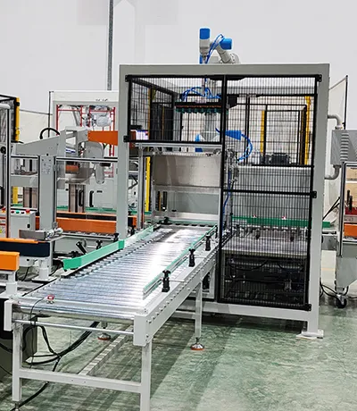 Robotic Picking & Packing Packaging Machine