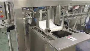 Horizontal Premade Pouch Packaging Machine for Powders