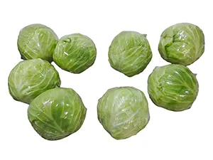 Automatic Shrink Wrapping Machine with L-Bar Sealer