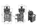 Vertical Form Fill Seal Machine with 10-Head Multihead Weigher